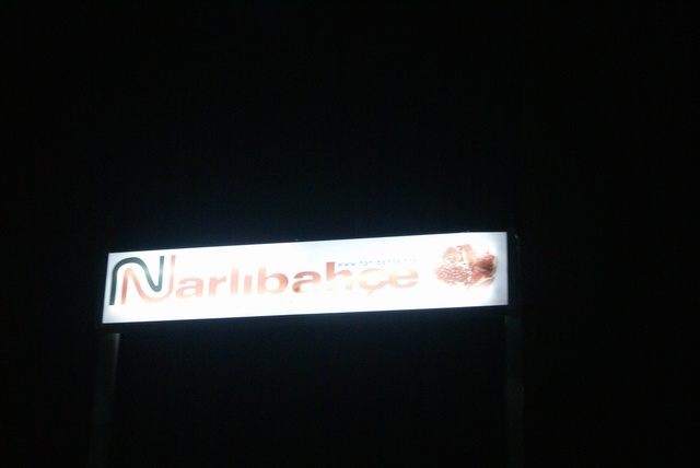 nb_31.jpg